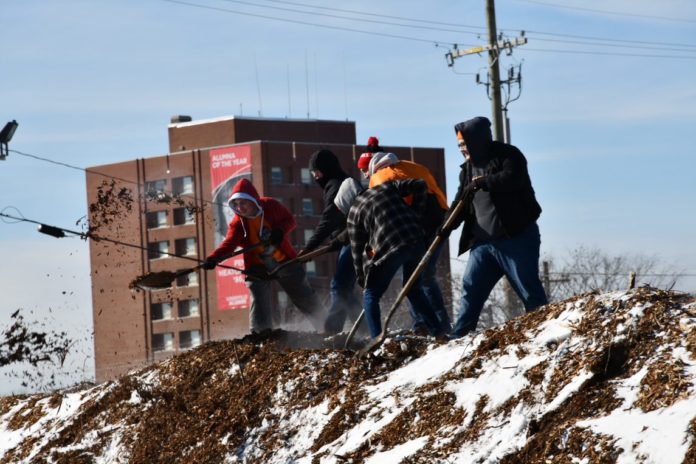 About 300 students volunteered for this year's MLK Day of Service.