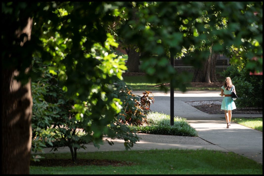 Tree Campus USA UofL
