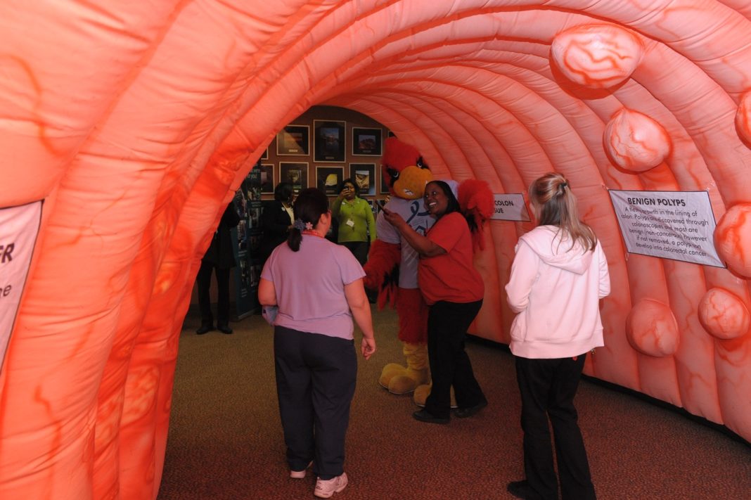 The Incredible Colon The Incredible Colon
