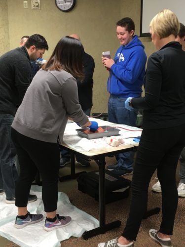 Participants in a Stop the Bleed training at UofL Hospital pack a simulated wound with gauze.
