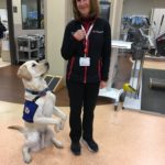 Travis, UofL Hospital facility dog with Cathy Gerrish