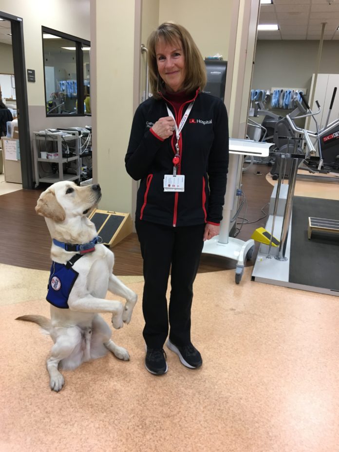 Travis, UofL Hospital facility dog with Cathy Gerrish