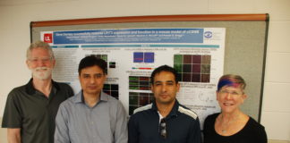 UofL scientists involved in the research, from left to right: Ron Gregg, Ph.D.; Nazarul Hasan, Ph.D.; Gobinda Pangeni, Ph.D.; Maureen McCall, Ph.D.