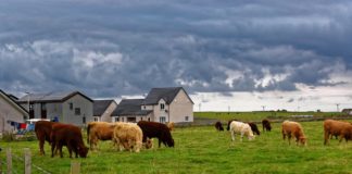 A stock image of a farm in rural Kentucky.