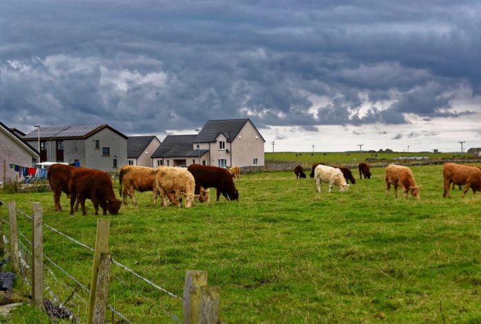 A stock image of a farm in rural Kentucky.