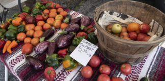 fruits and vegetables on a table at a farmers market