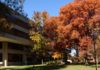 exterior view of Ekstrom Library with trees in front