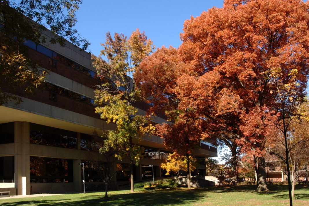 exterior view of Ekstrom Library with trees in front