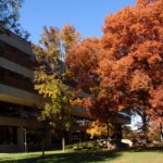 exterior view of Ekstrom Library with trees in front