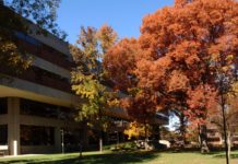 exterior view of Ekstrom Library with trees in front