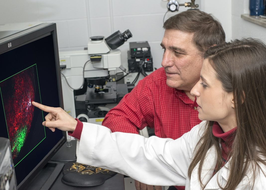 William Guido, Ph.D., and Naomi Charalambakis, Ph.D.