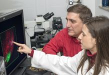 William Guido, Ph.D., and Naomi Charalambakis, Ph.D.