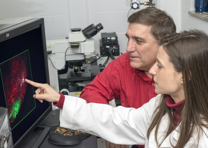 William Guido, Ph.D., and Naomi Charalambakis, Ph.D. William Guido, Ph.D., and Naomi Charalambakis, Ph.D.