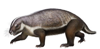 Lifelike illustration of Adalatherium. Image courtesy Denver Museum of Nature & Science/Andrey Atuchin