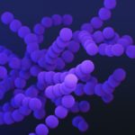 Group B streptococcus