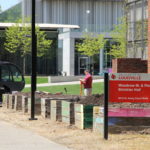 UofL is one of the nation's top schools for recycling.