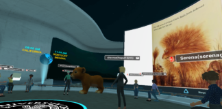 CEHD Virtual Reality Class