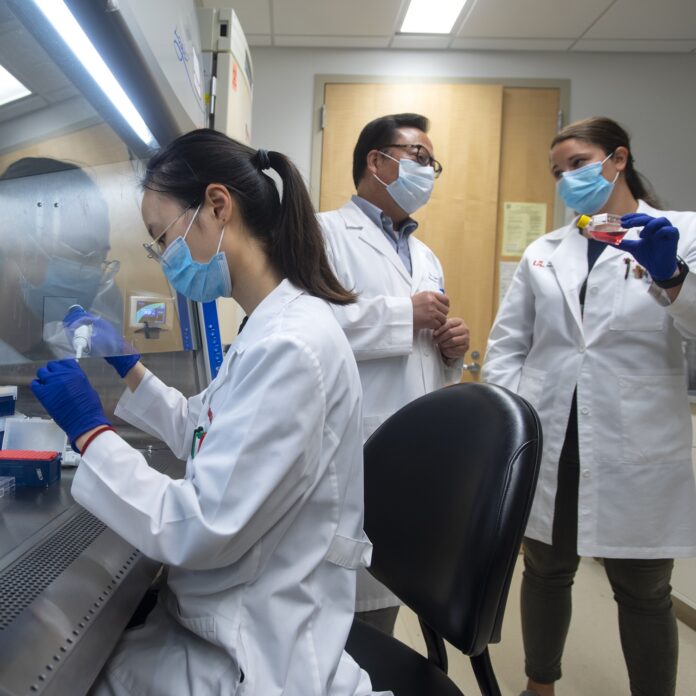 Jun Yan, center, leads research to better understand immune dysregulation leading to acute respiratory distress in COVID-19 and other conditions. Yan and colleagues, including Anne Geller, right, discovered a specific type of immune cell associated with immune system overreaction in 2020 while treating COVID-19 patients. The work recently was funded by $5.8 in NIH grants.