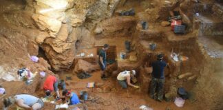 View of the excavation of the early modern human (foreground) and Neanderthal layers (background) in Lapa do Picareiro. Photo by Jonathan Haws.
