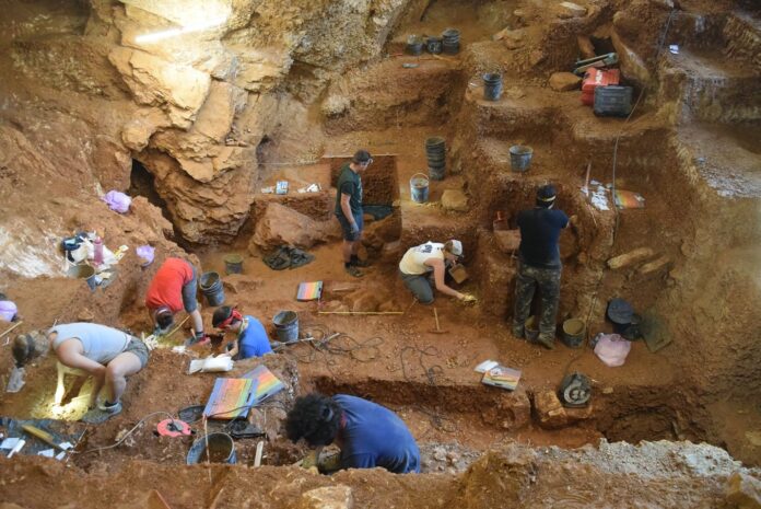 Excavation in Lapa do Picareiro View of the excavation of the early modern human (foreground) and Neanderthal layers (background) in Lapa do Picareiro. Photo by Jonathan Haws.