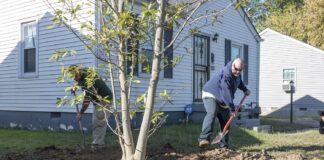Trees are planted in South Louisville for the UofL Green Heart Project, an ongoing assessment of the effects of neighborhood greenness on individual health