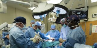 Cardiothoracic surgeons with UofL Health – Jewish Hospital and the University of Louisville performed the world’s first Aeson® bioprosthetic total artificial heart implantation in a female patient on Sept. 14, 2021. Photo by UofL Health.