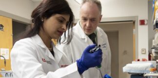 Juhi Bagaitkar, assistant professor, and Richard Lamont, professor and chair of the UofL Department of Oral Immunology and Infectious Disease