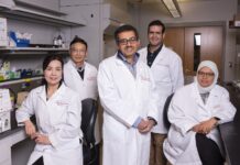 Mohamed Lab researchers in the UofL Institute of Molecular Cardiology, (l. to r.) Qinghui Ou, Xian-Liang Tang, Tamer Mohamed, AbouBakr Salama and Riham Abouleisa