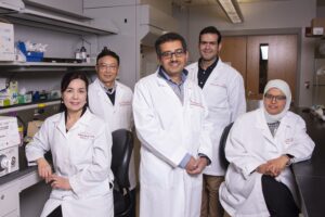 Mohamed Lab researchers in the UofL Institute of Molecular Cardiology, (l. to r.) Qinghui Ou, Xian-Liang Tang, Tamer Mohamed, AbouBakr Salama and Riham Abouleisa
