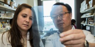 Study authors Anne Geller, left, and Jun Yan