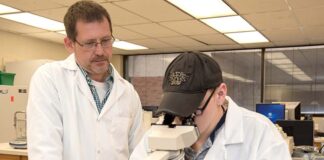 Professor and Associate Dean Michael Menze, left, and National Science Foundation graduate fellow Clinton Belott.