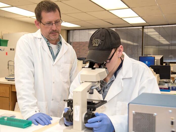 Menze pic Professor and Associate Dean Michael Menze, left, and National Science Foundation graduate fellow Clinton Belott.