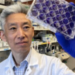 Donghoon Chung, associate professor in the Department of Microbiology & Immunology at the University of Louisville, will lead the NIH Midwest Antiviral Drug Discovery Center for Pathogens of Pandemic Concern. (UofL Photo)