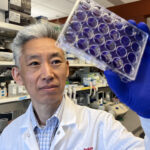 Donghoon Chung, associate professor in the Department of Microbiology & Immunology at the University of Louisville, will lead the NIH Midwest Antiviral Drug Discovery Center for Pathogens of Pandemic Concern. (UofL Photo)