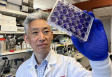 Donghoon Chung, associate professor in the Department of Microbiology & Immunology and the UofL Center for Predictive Medicine for Biodefense and Emerging Infectious Diseases