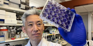 Donghoon Chung, associate professor in the Department of Microbiology & Immunology and the UofL Center for Predictive Medicine for Biodefense and Emerging Infectious Diseases