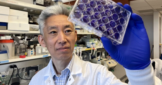 Donghoon Chung, associate professor in the Department of Microbiology & Immunology at the University of Louisville, will lead the NIH Midwest Antiviral Drug Discovery Center for Pathogens of Pandemic Concern. (UofL Photo)