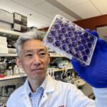 Donghoon Chung, associate professor in the Department of Microbiology & Immunology at the University of Louisville, will lead the NIH Midwest Antiviral Drug Discovery Center for Pathogens of Pandemic Concern. (UofL Photo)