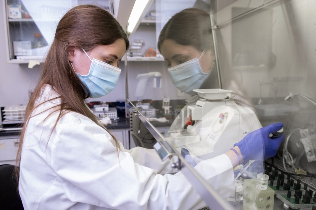 Jessica Miller, a UofL graduate student researcher, works on methods and cultures that could extend the shelf life of tissue for cardiotoxicity testing of new drug candidates. (UofL Photo)
