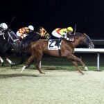 Horses racing on the Tapeta Footings synthetic track surface at Turfway Park in Florence, Ky. (Photo by Coady Photography)