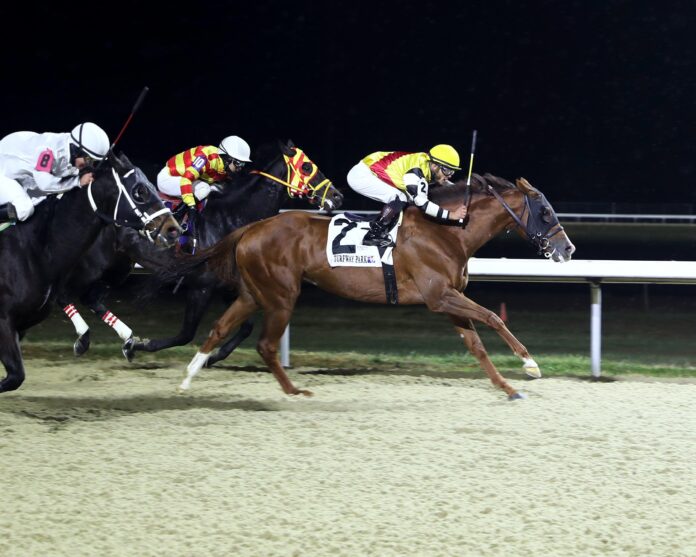 Horses racing on the Tapeta Footings synthetic track surface at Turfway Park in Florence, Ky. (Photo by Coady Photography)