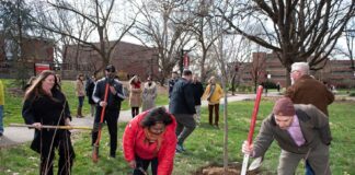 people planting trees on UofL's Belknap campus