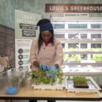 Patricia Nyalwal, graduate student in the College of Education and Human Development, harvests greens from Louie's greenhouse for sandwiches at the Ville Grille.
