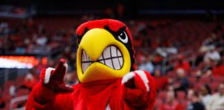 Louie the Cardinal is the mascot of the University of Louisville (photo courtesy UofL Athletics)