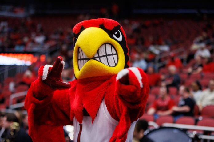 Louie the Cardinal is the mascot of the University of Louisville (photo courtesy UofL Athletics)