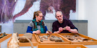 Anthropology faculty and staff examine artifacts