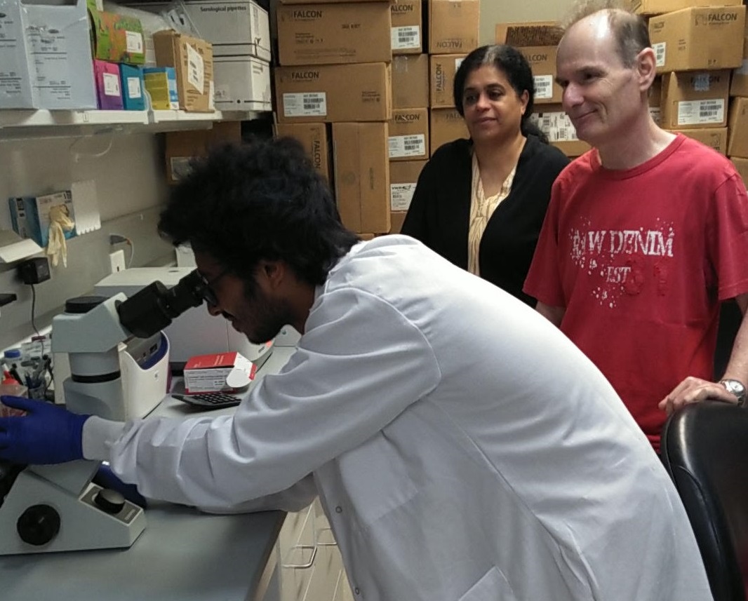Study team members Kavitha Yaddanapudi, associate professor of surgery (center), with co-first authors Omar Sarkar, UofL graduate student, (left) and Howard Donninger, UofL assistant professor (right). UofL photo.