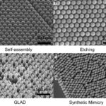 Four steps of the nanofabrication process used to replicate the nanostructure of a cicada wing.