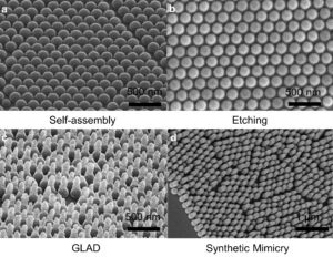 Four steps of the nanofabrication process used to replicate the nanostructure of a cicada wing.