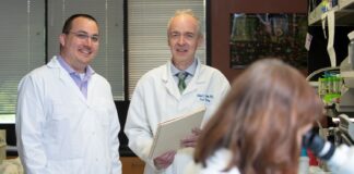 Research by Kevin Sokoloski, left, was funded through the UofL Center of Biomedical Research Excellence in Functional Microbiomics, Inflammation and Pathogenicity. Richard Lamont, center, leads the project, which has received an additional grant of nearly $12 million.